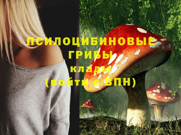 дживик Барнаул