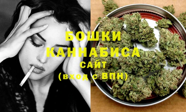 сатива Никольск